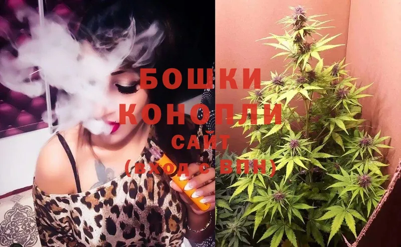 где найти   Куйбышев  Конопля OG Kush 